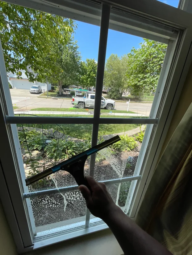 Clean double-hung window with black muntins showing interior and exterior glass clarity