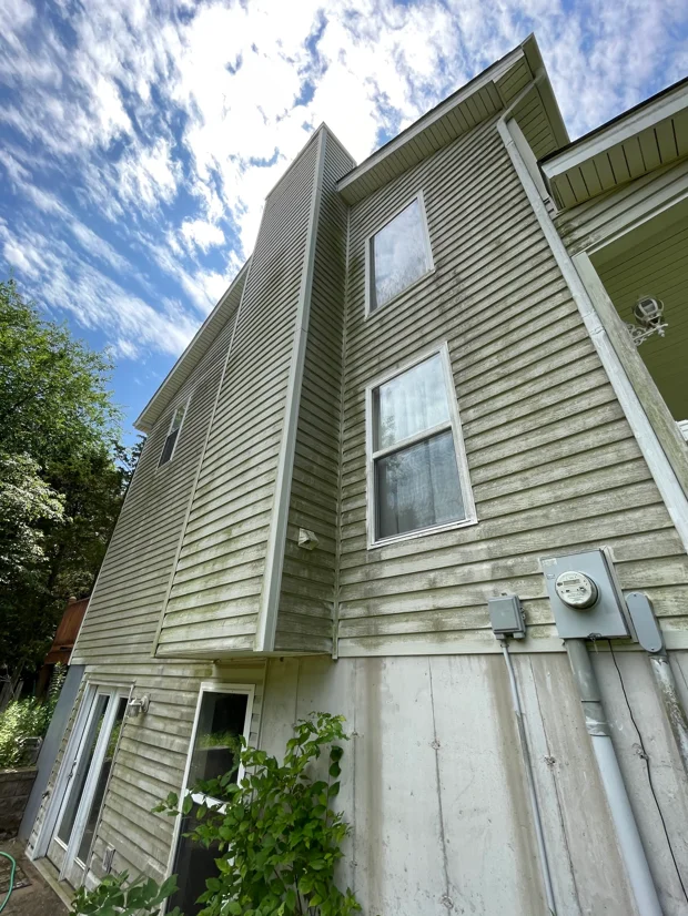 Clean vinyl siding on two-story home with white trim and windows after soft wash cleaning