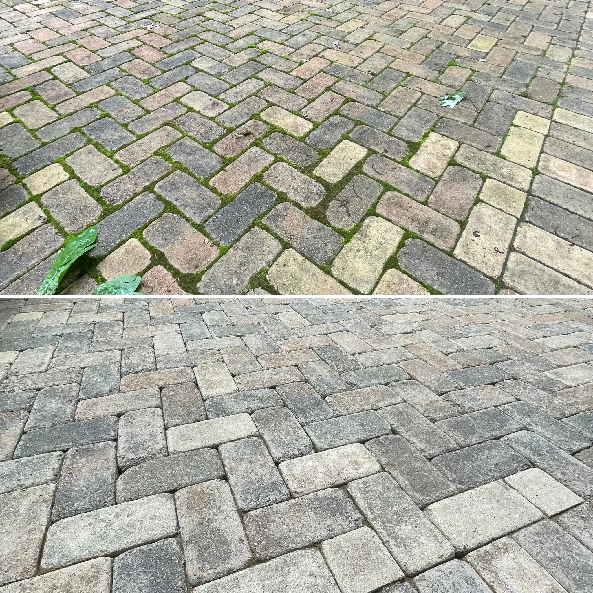Before and after paver cleaning showing moss removal and restoration