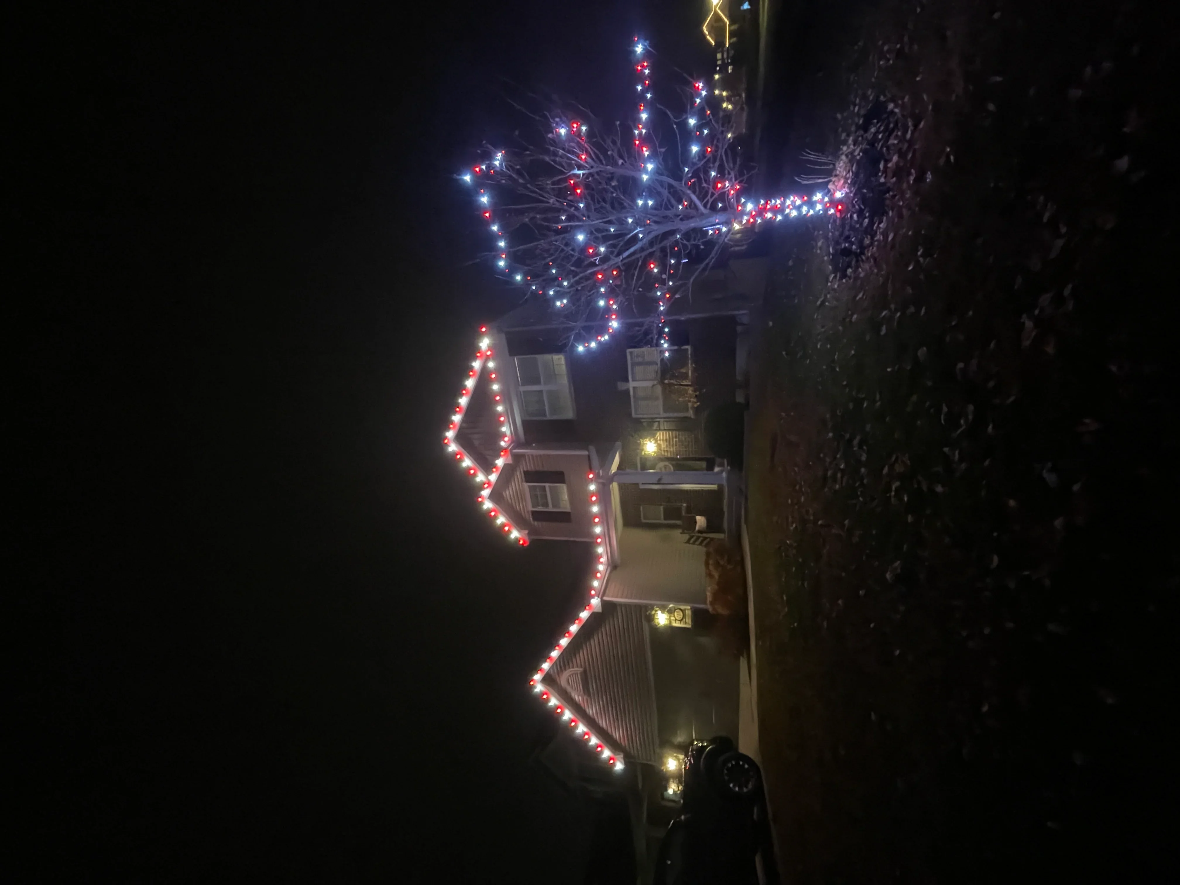 Home exterior at night with red and white LED holiday lights outlining roofline and tree