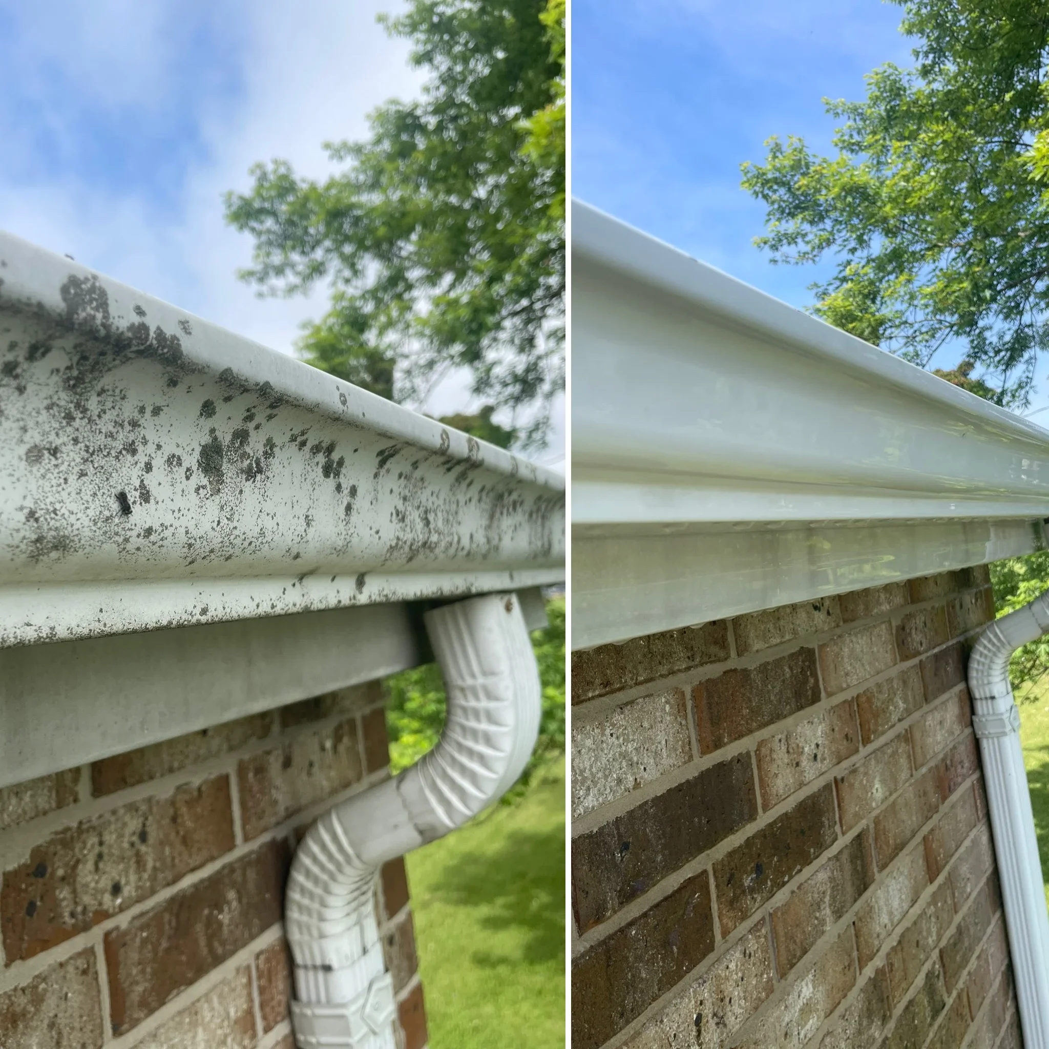 Before and after gutter cleaning showing mold removal from white aluminum gutters and brick