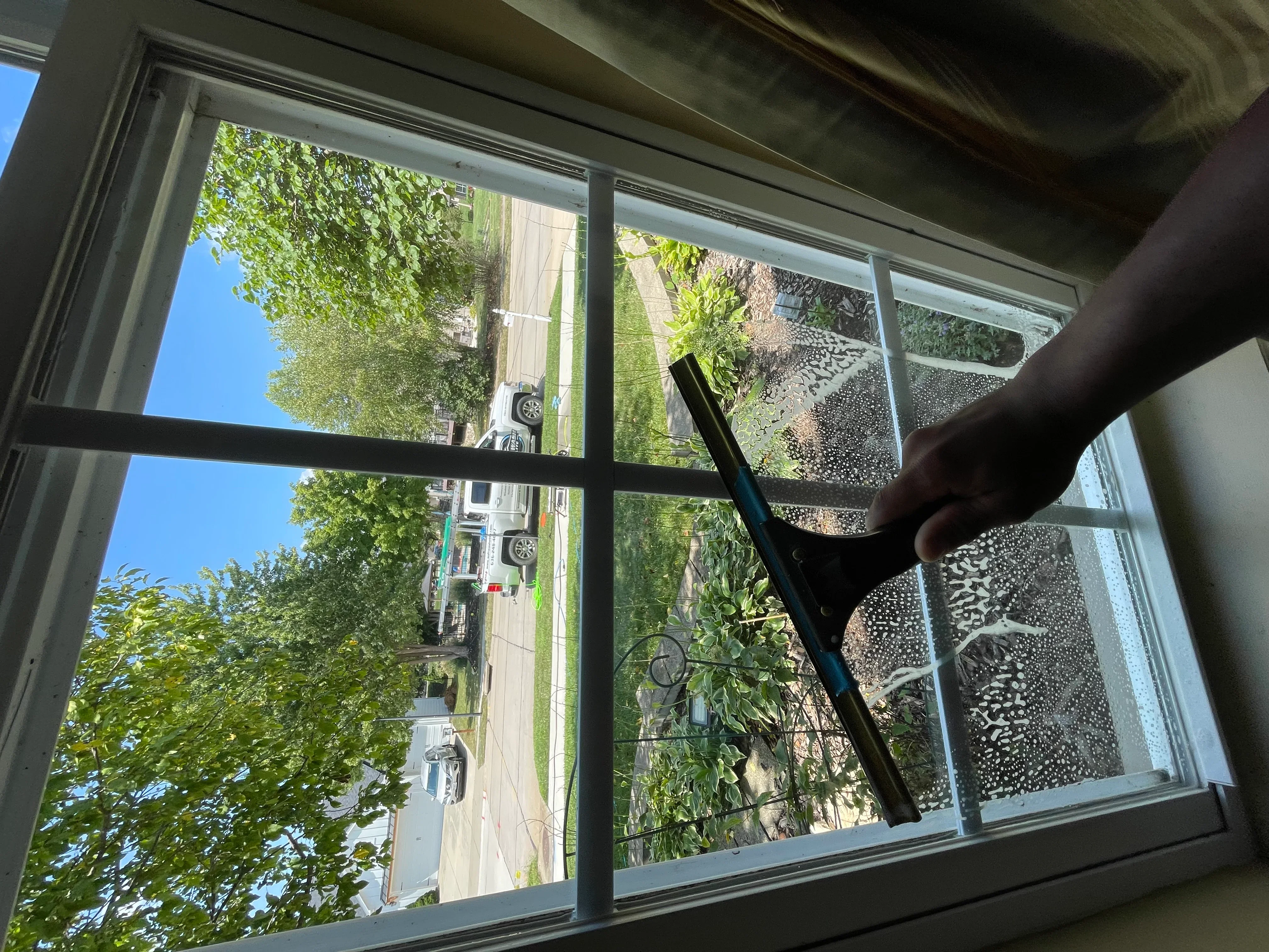 Clean residential windows with black frames showing clear views of yard and trees