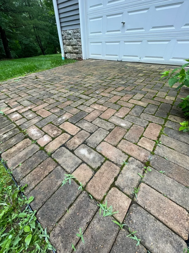 Brick paver driveway with herringbone pattern, cleaned of moss and algae growth
