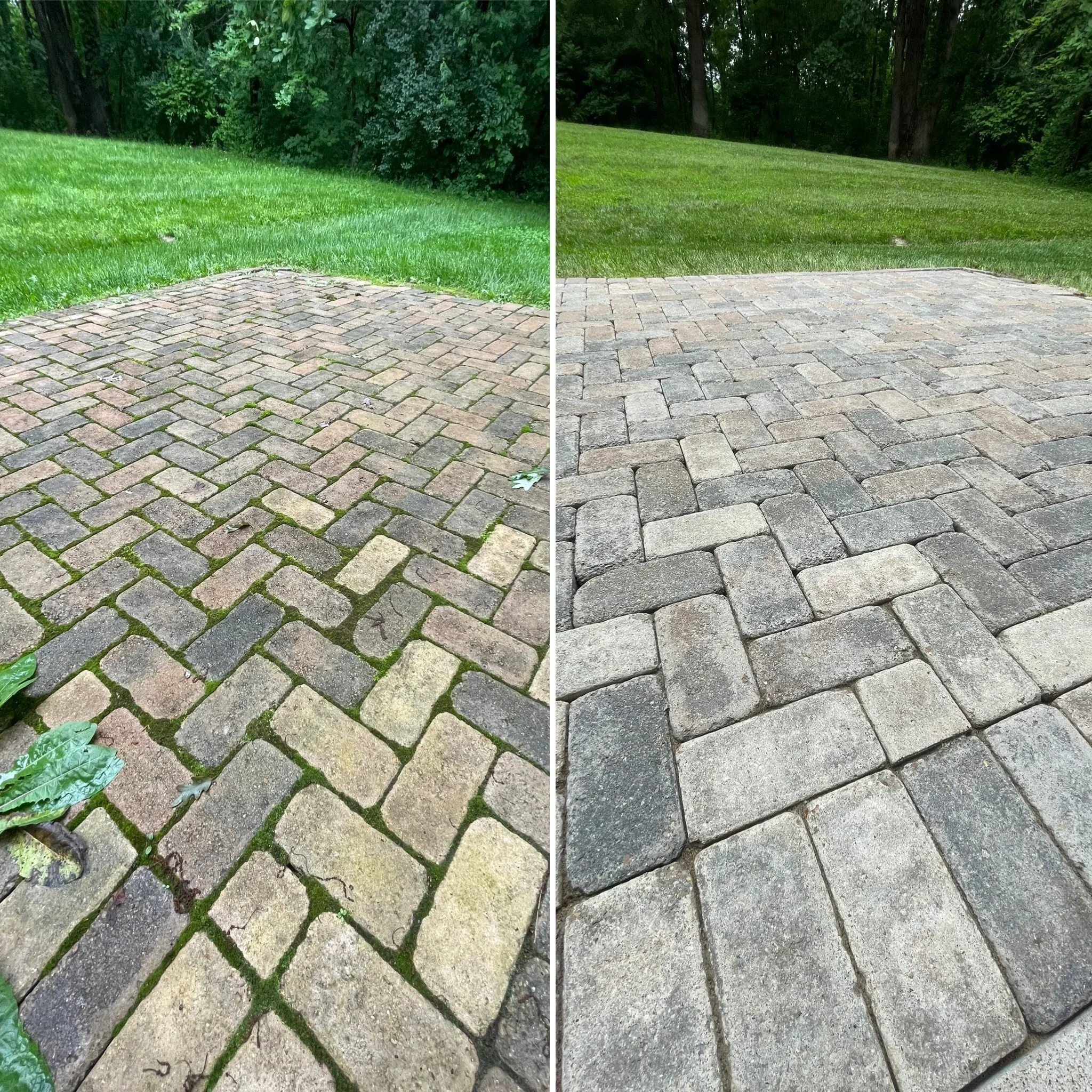 Paver patio before and after soft washing, showing moss removal and restoration