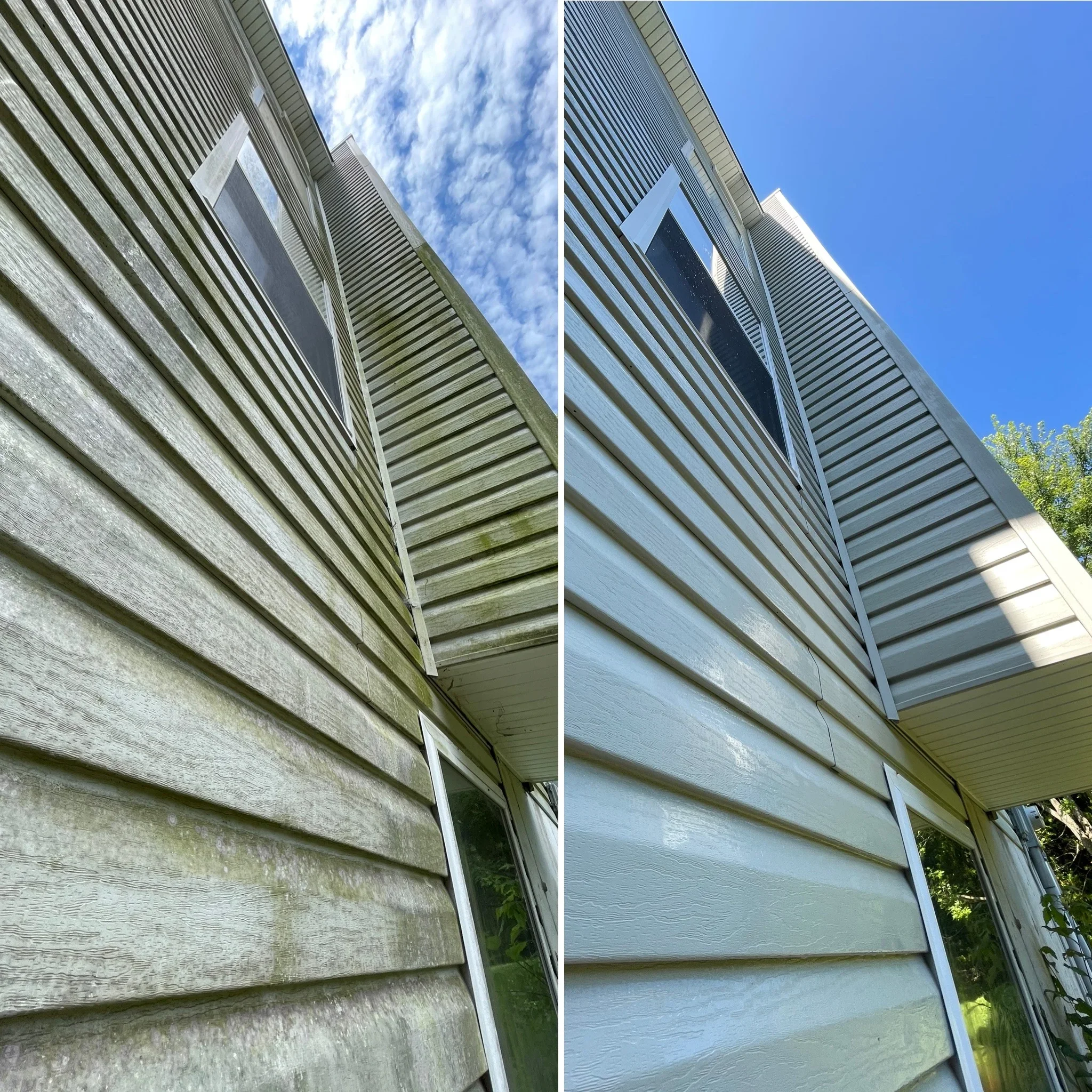 Before and after vinyl siding soft wash cleaning showing algae removal and restoration